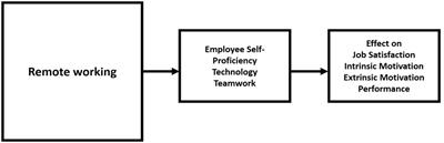 Remote working and occupational stress: Effects on IT-enabled industry employees in Hyderabad Metro, India